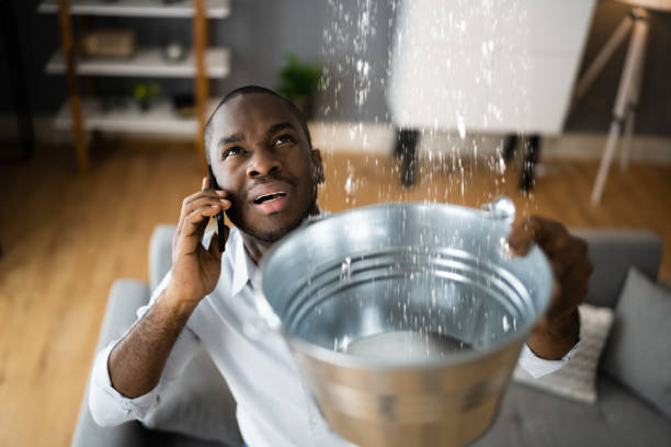 Best Professional water damage repair  in Delavan, IL