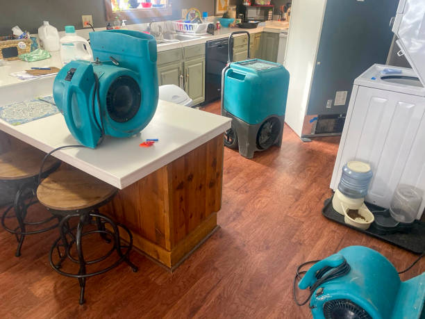 Best 24-hour water damage restoration  in Delavan, IL