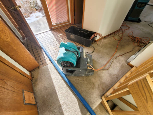  Delavan, IL Water damage restoration Pros