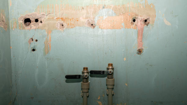 Best Water damage cleanup near me  in Delavan, IL