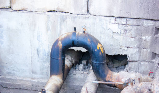 Best Mold removal after water damage  in Delavan, IL